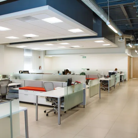 An open-plan office with rows of desks